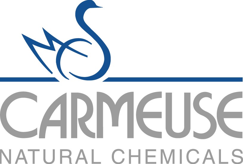 Logo carmeuse